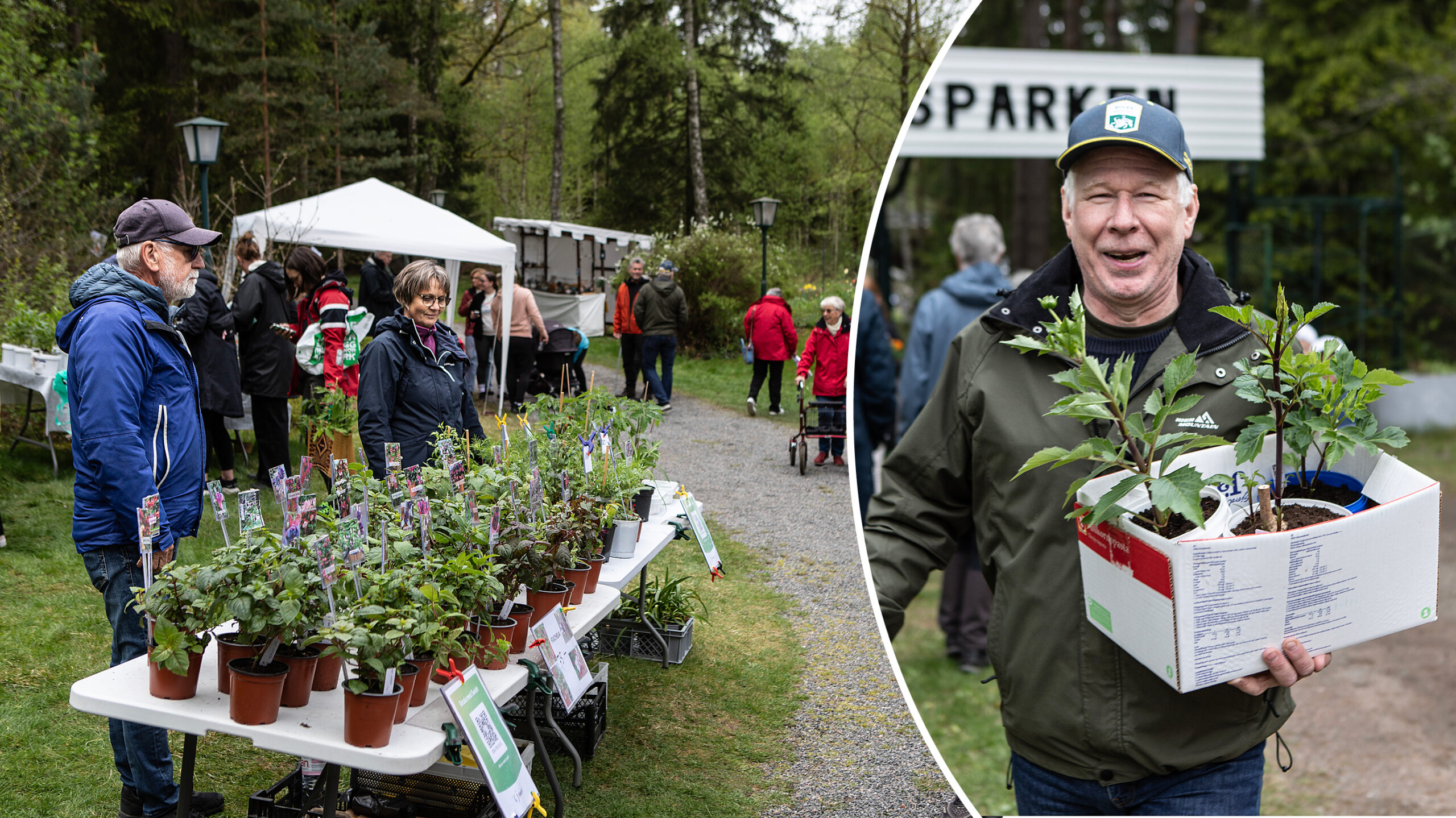 Marknad som växer för varje år