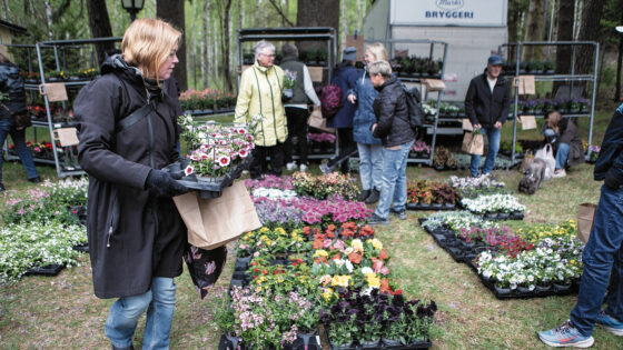 Trädgårdsmarknaden4