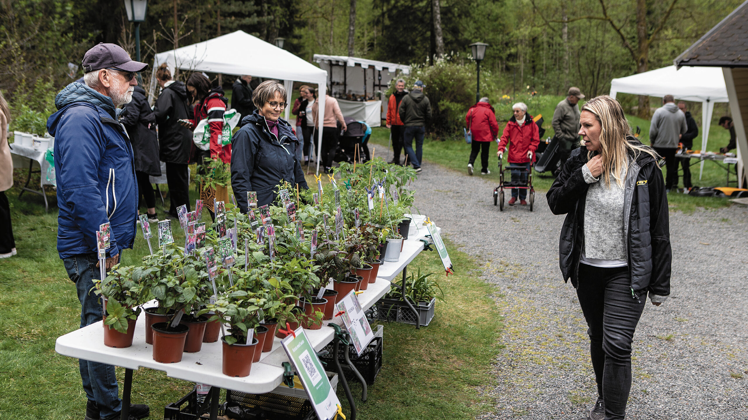 Trädgårdsmarknaden7