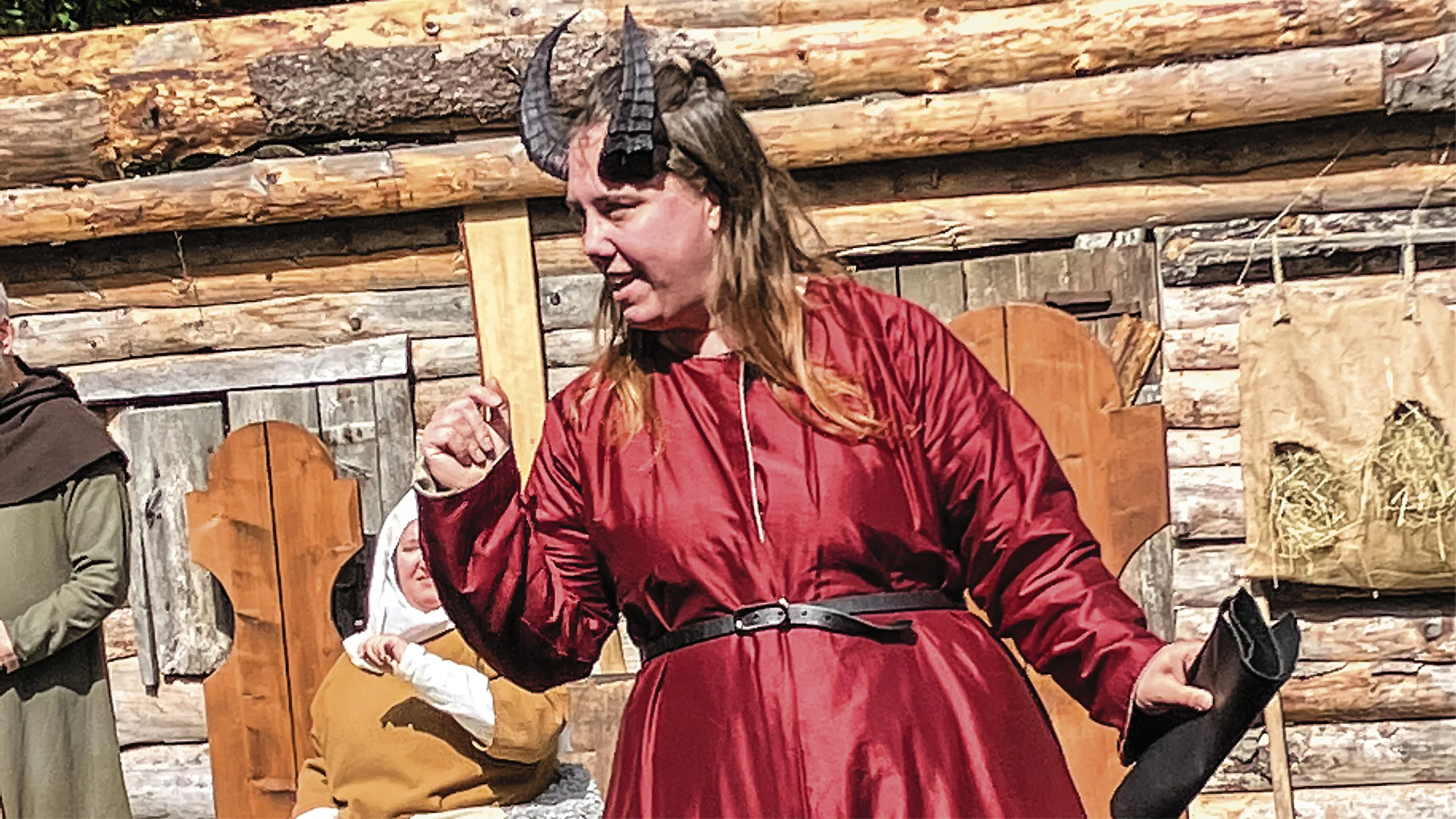 Drömmen om Birgitta 3