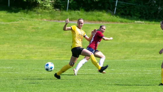 Emilia Löfström täcker