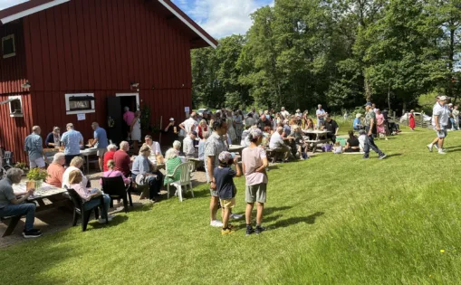 Grönköp5