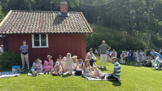 Grönköp6