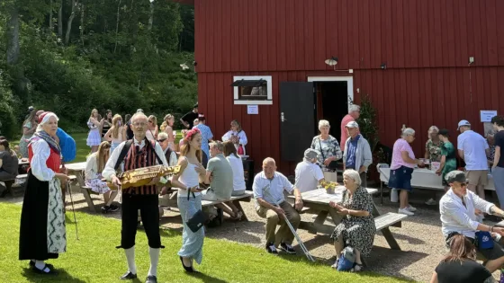 Grönköp7