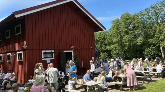 Grönköp9