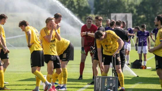 Vattenpaus