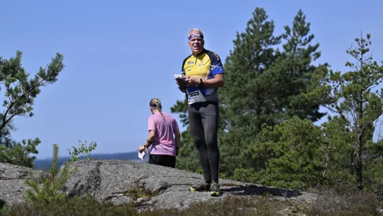 Höjden