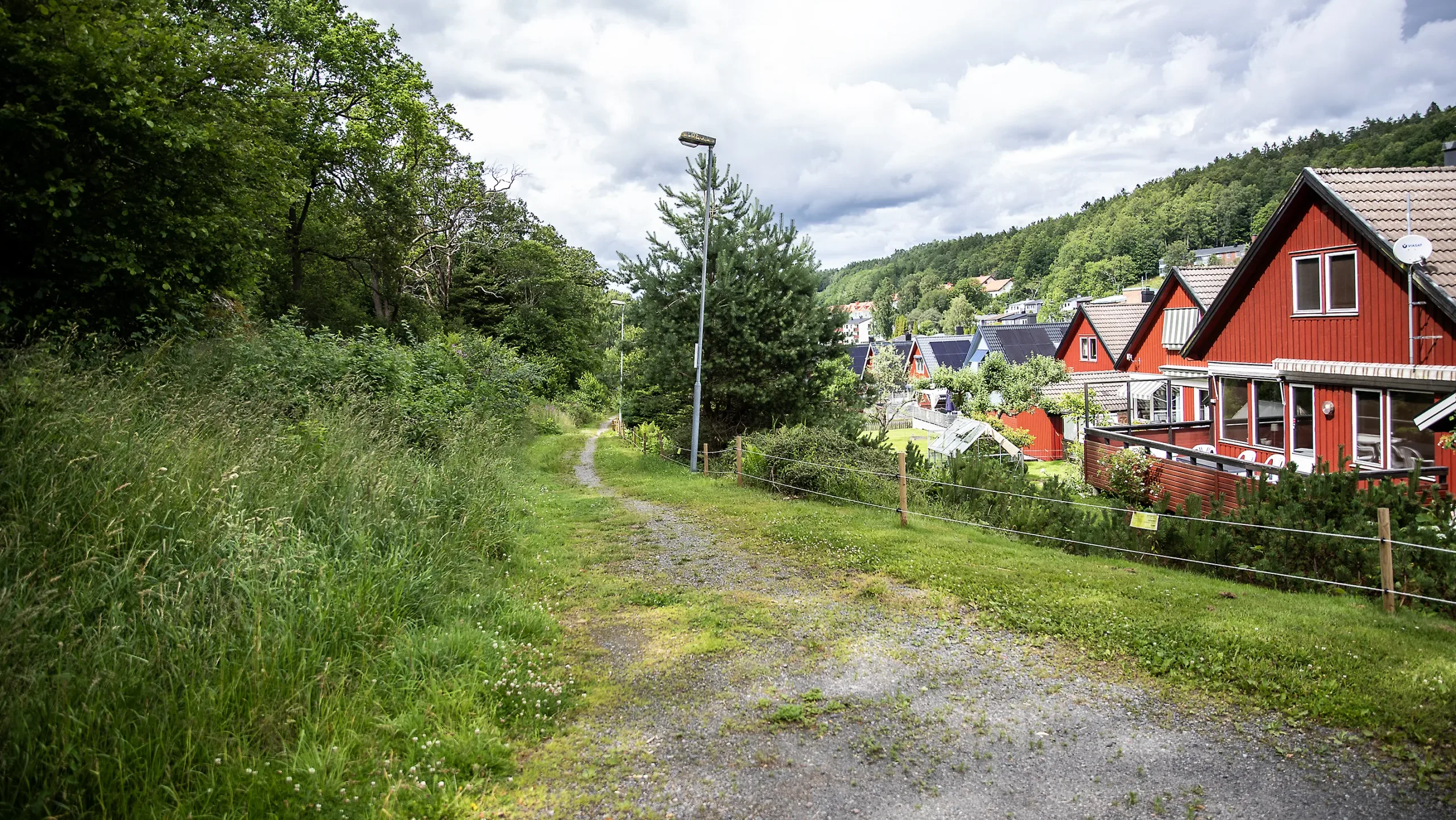 v2826 Brattåsberget2
