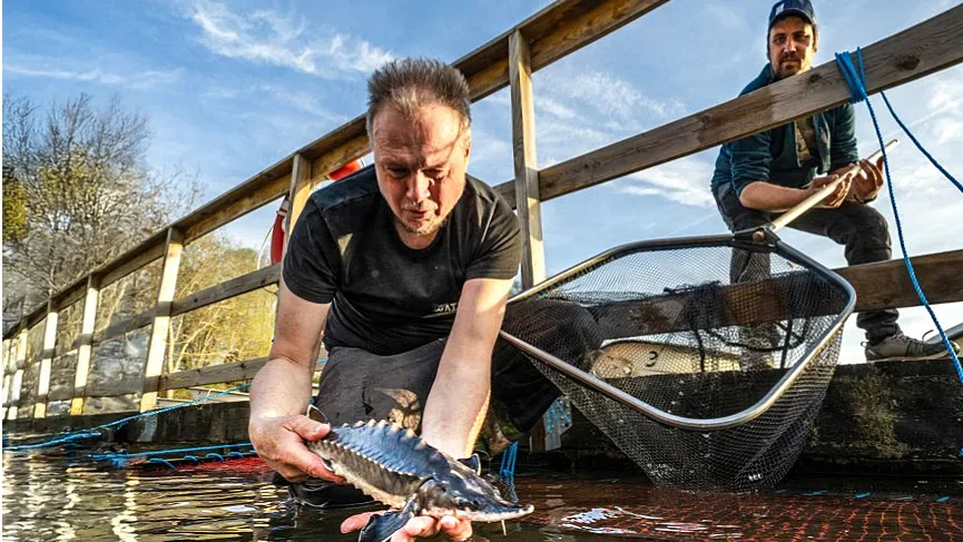 Störsläpp i Lilla Edet under Västerhavsveckan