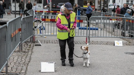 Hundens dag 6