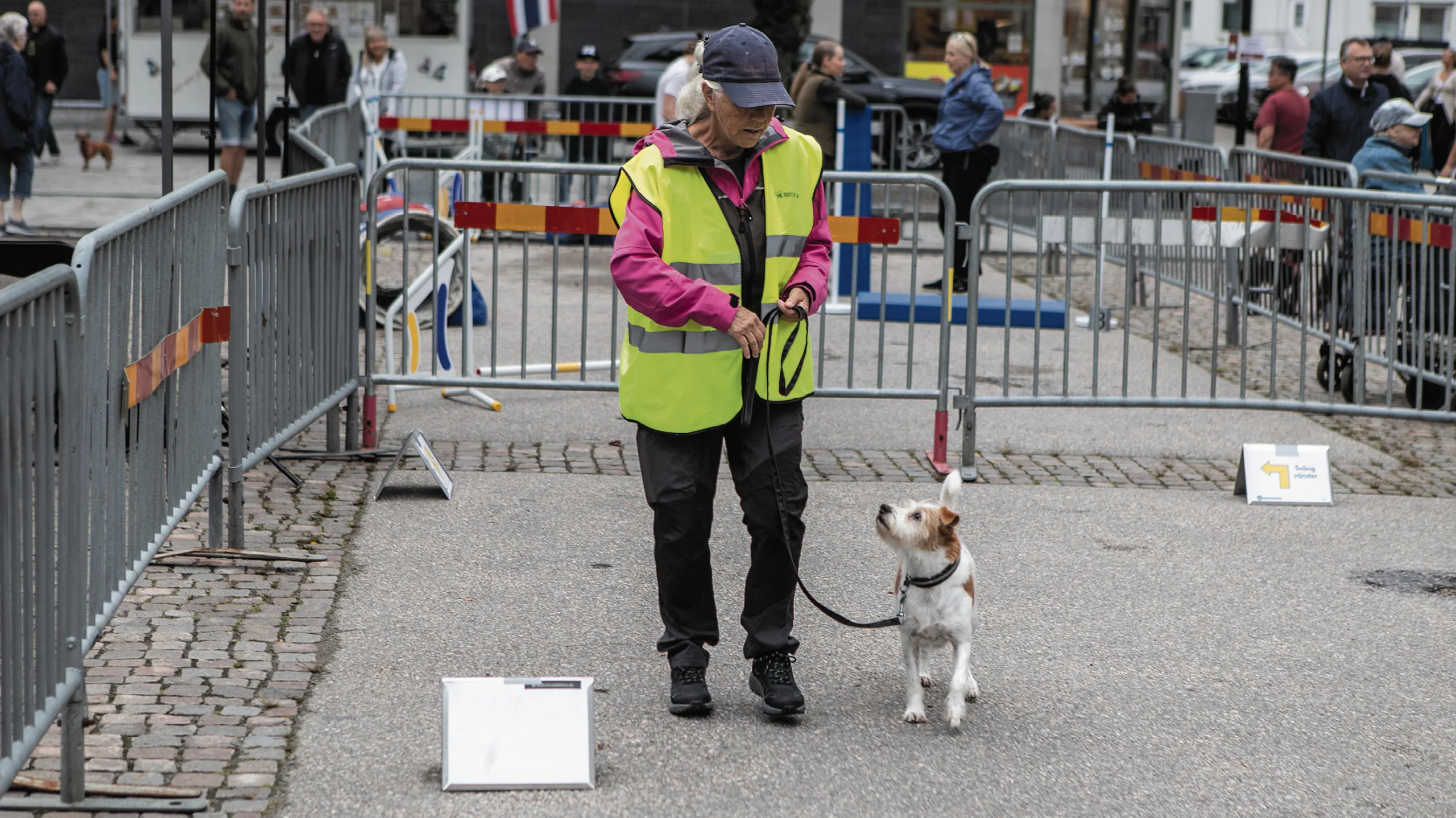Hundens dag 6