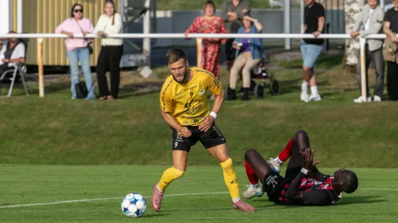 Jesper Zetterlund7