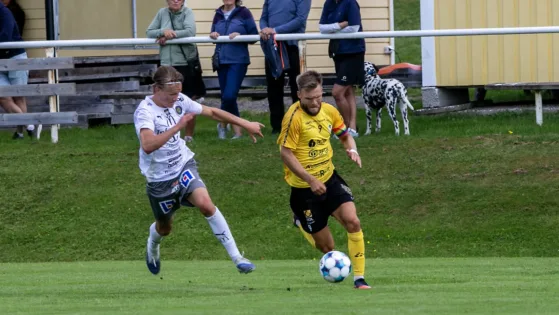 Jesper Zetterlund7