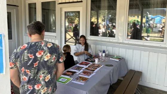 v3226 Surtedagen ansiktsmålning