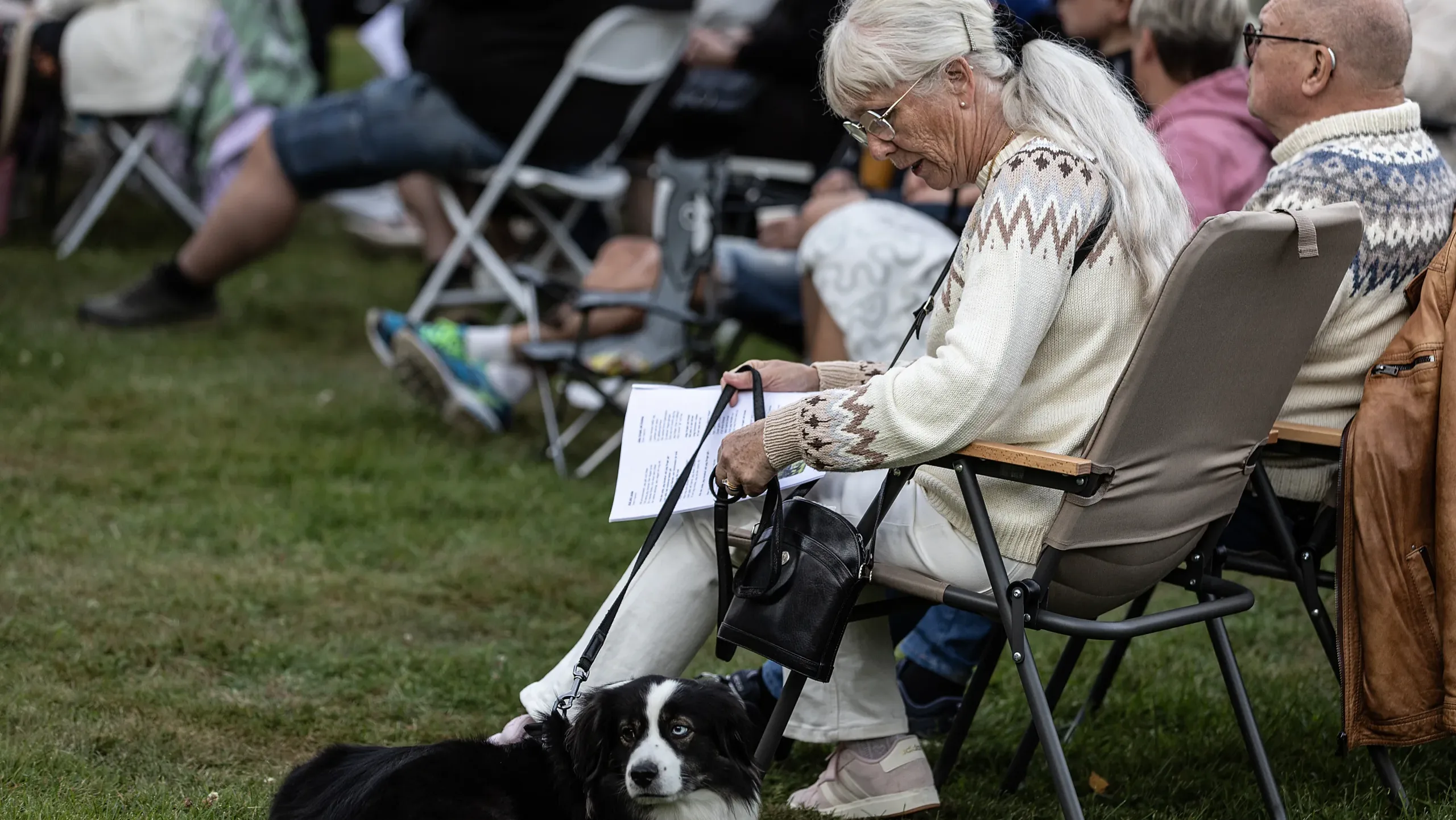 v3326 Allsång Ströms slottspark hund copy