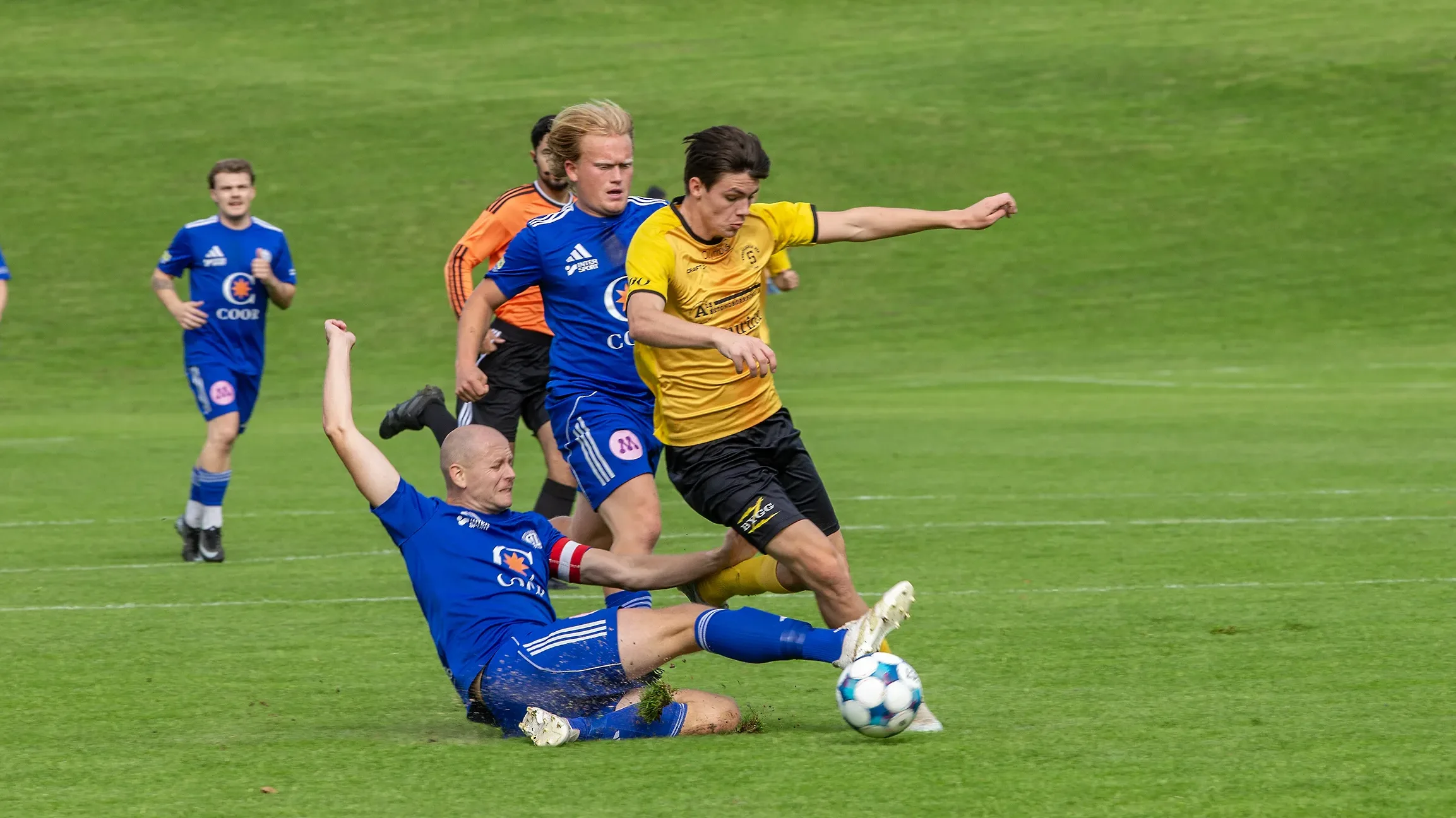 Alvin Mellqvist kamp2
