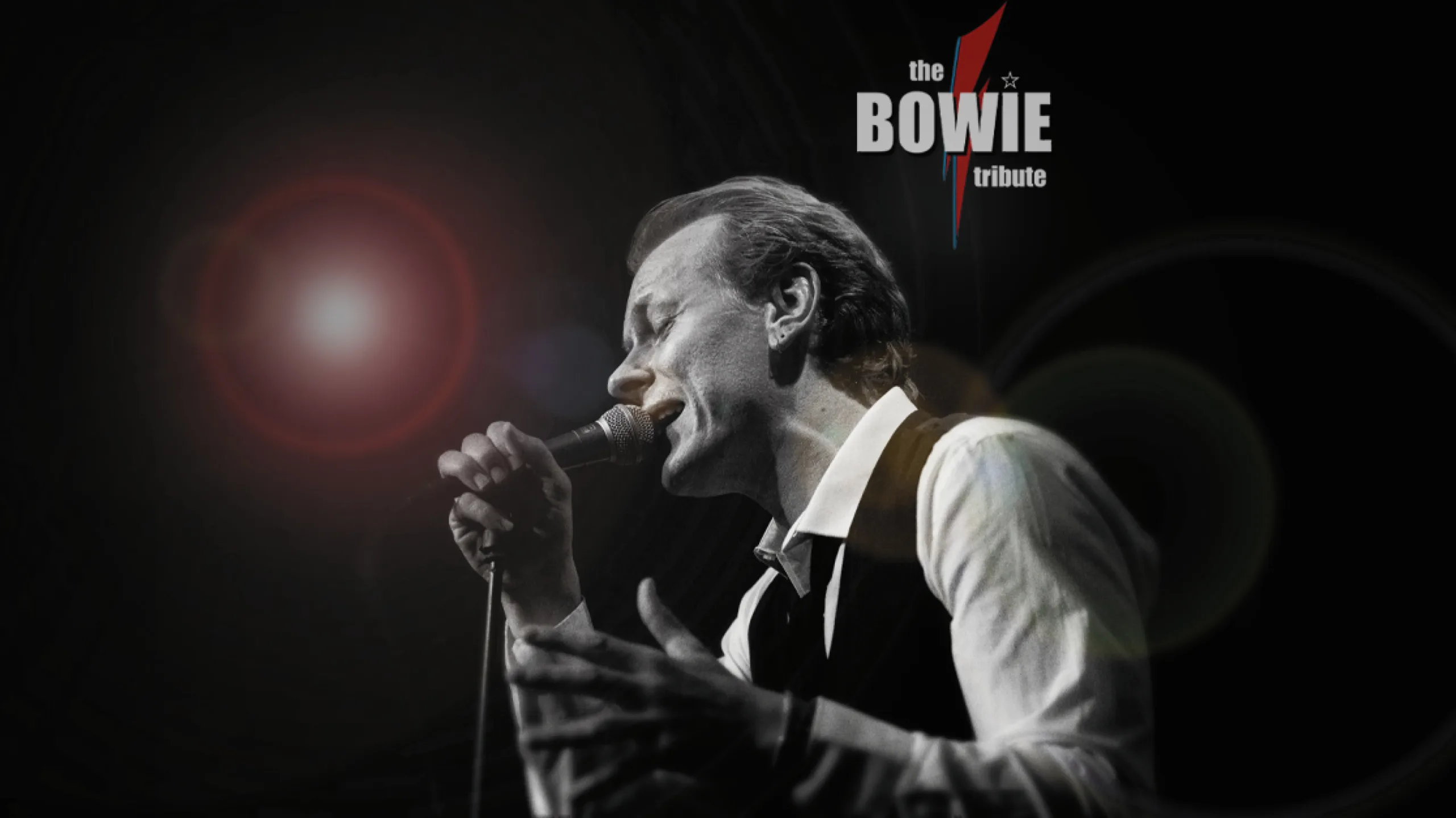 The Bowie Tribute är tillbaka