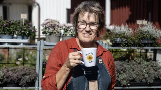 v3626 Höstkänsla Annika Karlsson copy