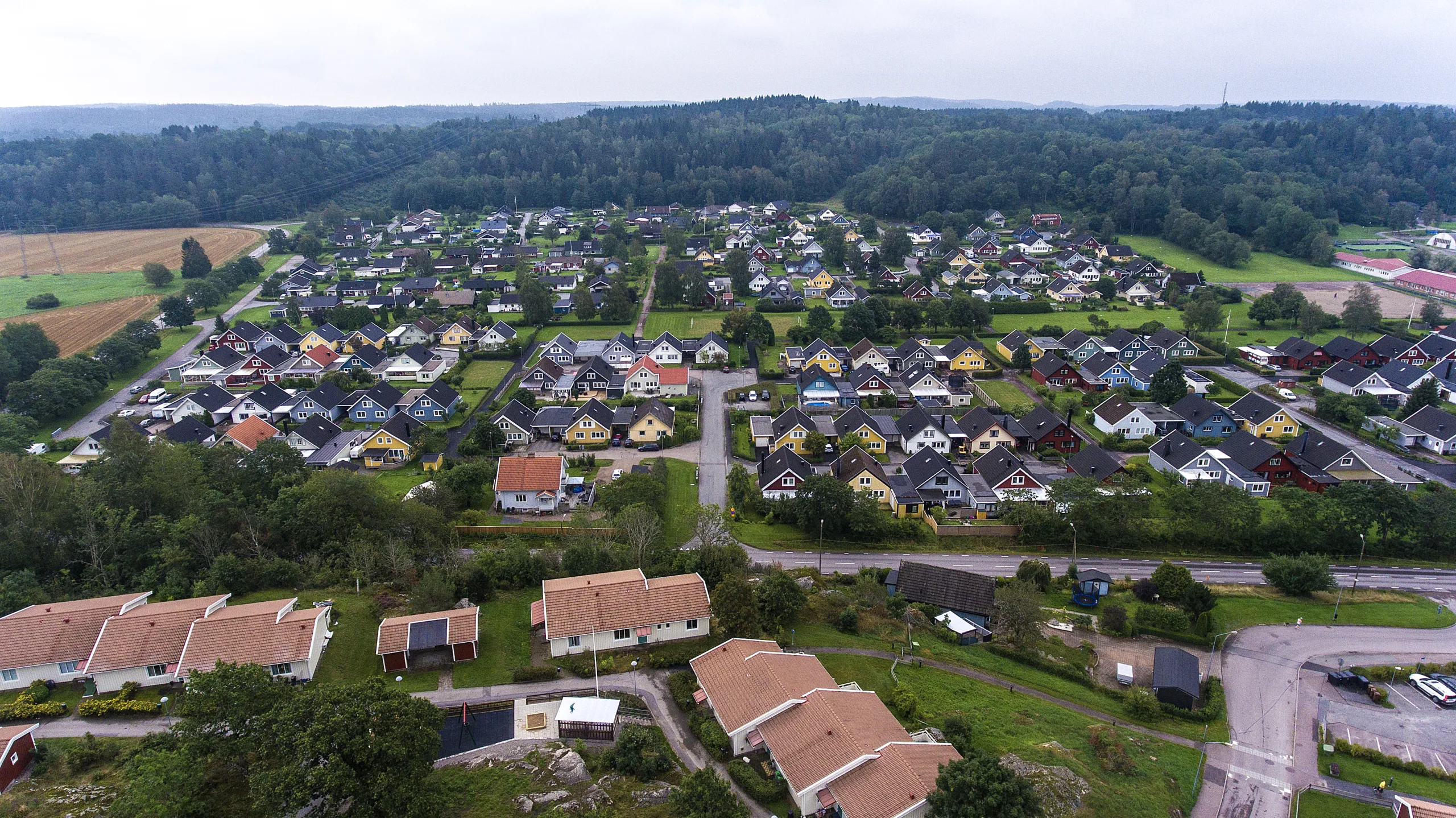 DJI_0020 copy